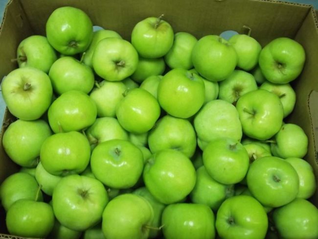 Зелёные яблоки в коробке