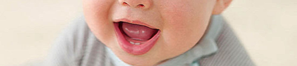 Зубы Перед Прорезыванием Зубов Фото