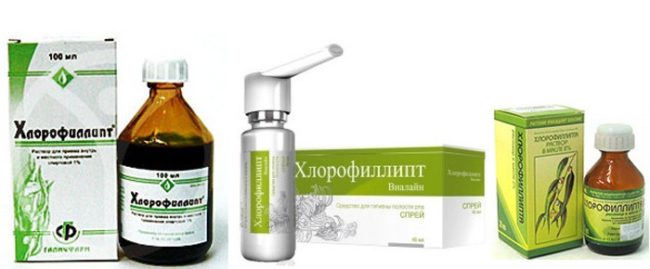 На белом фоне бело-зелёная упаковка и баночка Хлорофиллипта с лекарственным раствором 