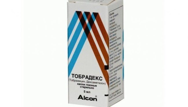 На белом фоне белая упаковка лекарственного средства "Тобрадекс" 