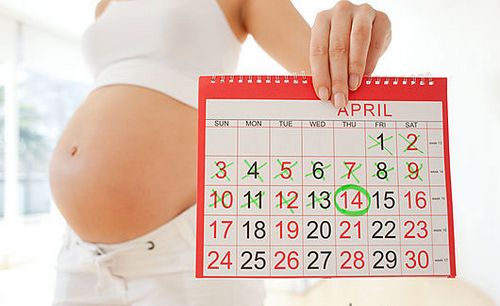 Беременная девушка держит календарь