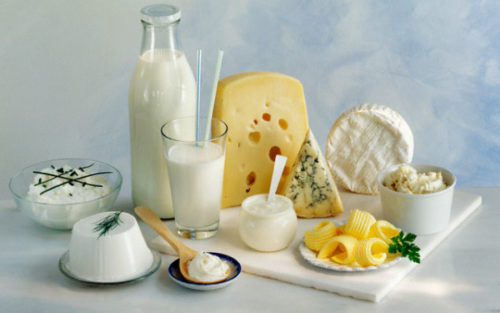 Молоко сыр и творог крупным планом
