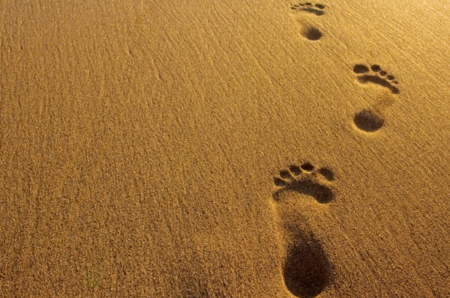 Отпечатки стопы при ходьбе по песку