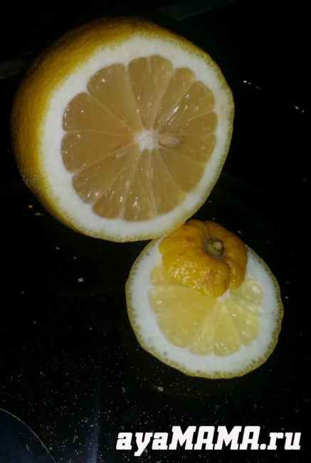Порезанный лимон на тарелке и его дольки
